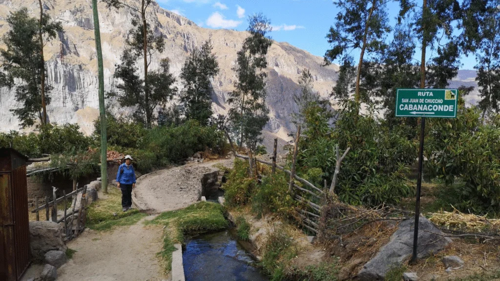 Colca Trek 2 Días / 1 Noche