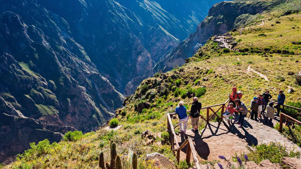 Tour Cañón del Colca Full Day