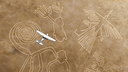 Tour Sobrevuelos en las Líneas de Nazca + Palpa (Medio día) 