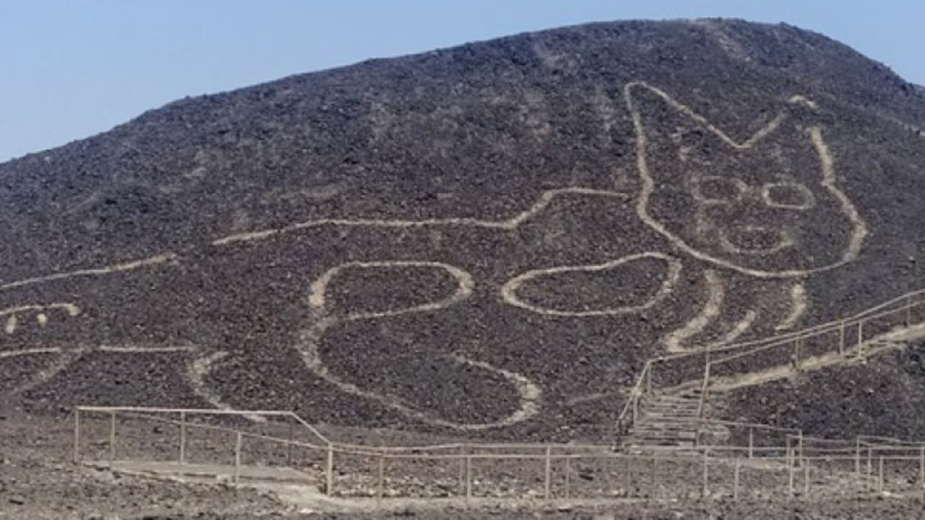 Tour Sobrevuelos en las Líneas de Nazca (medio dia) 