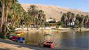 Tour Paracas – Ica – Huacachina (Full Day) 