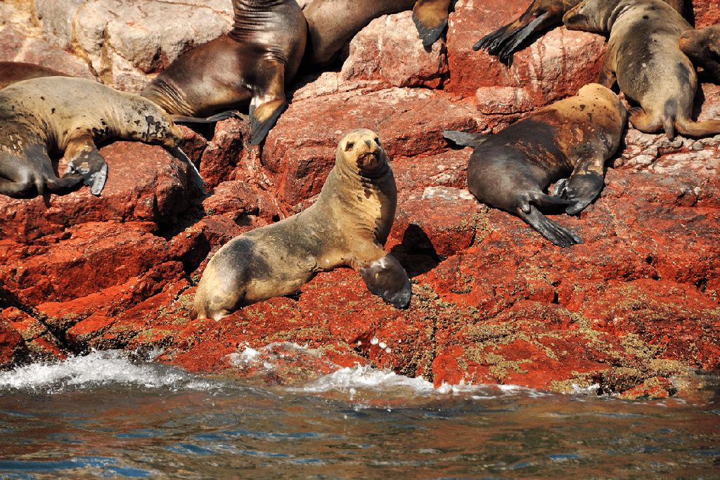 Desde Lima: Perú Misterioso 11 Días / 10 Noches 