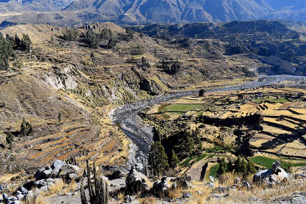 Desde Lima: Cañon del Colca y Machu Picchu 11 Días / 10 Noches 