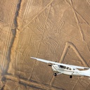 Tour de sobrevoo das Linhas de Nazca (Meio dia)