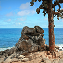 Galapagos and Machu Picchu 10 Days