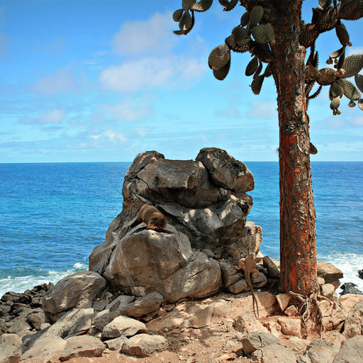 Galapagos and Machu Picchu 10 Days