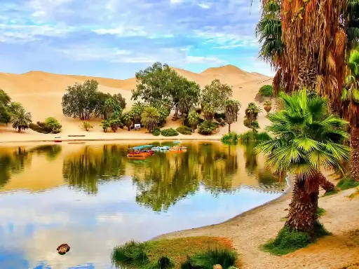 2D/1N Paracas - Ica