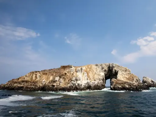 Tour Islas Palomino