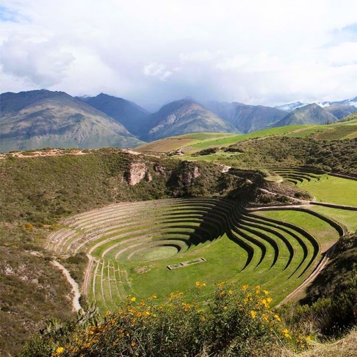 Valle Sagrado de los Incas + Maras y Moray finalizando en Ollantaytambo